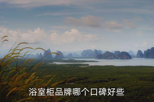 浴室柜品牌哪個(gè)口碑好些