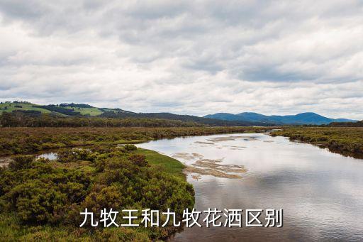 九牧衛(wèi)浴專賣店圖片,網(wǎng)上賣九牧馬桶價格比實體店便宜很多