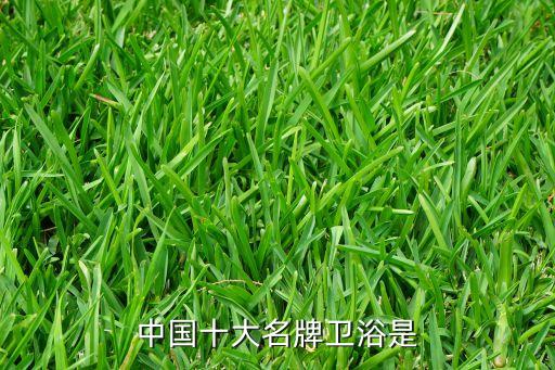 家裝用和成衛(wèi)浴,衛(wèi)生間不止一個(gè)陶瓷件衛(wèi)生潔具也要和諧美觀!