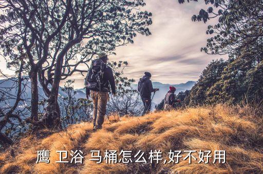 鷹 衛(wèi)浴 馬桶怎么樣,好不好用