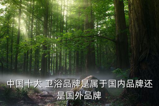 中國十大 衛(wèi)浴品牌是屬于國內(nèi)品牌還是國外品牌