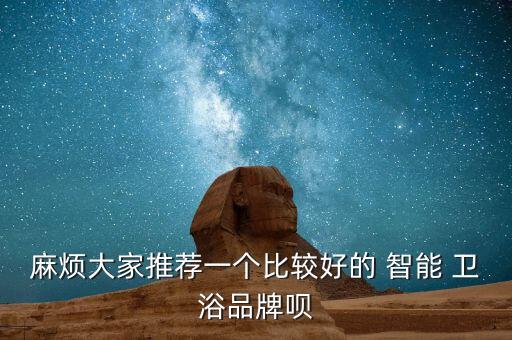 麻煩大家推薦一個比較好的 智能 衛(wèi)浴品牌唄