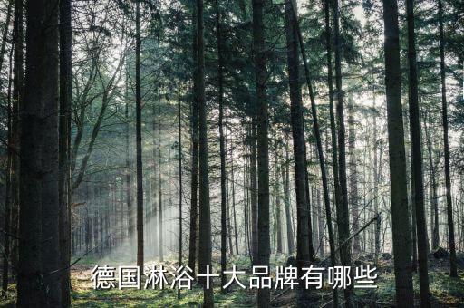 德國衛(wèi)浴牌子有哪些,衛(wèi)浴知多少?問與答（19）