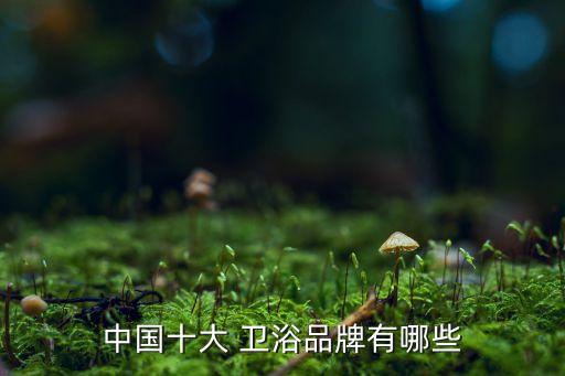 中國(guó)十大 衛(wèi)浴品牌有哪些