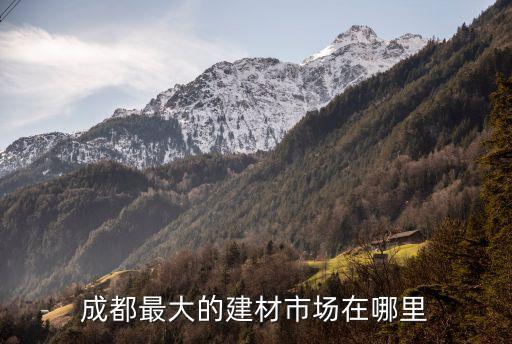 大公館衛(wèi)浴官網(wǎng)旗艦店,陳德大豐公館的交房時間公布