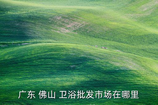 廣東 佛山 衛(wèi)浴批發(fā)市場在哪里