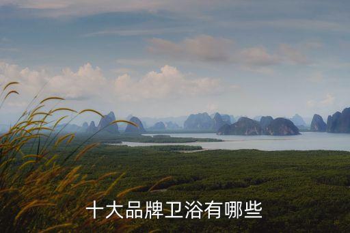 十大品牌衛(wèi)浴有哪些
