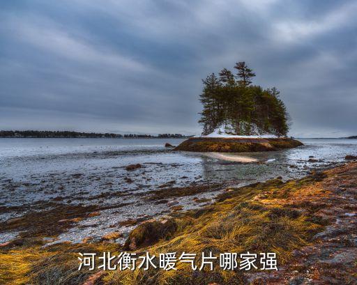 衡水市衛(wèi)浴,河北最強散熱器品牌公司注冊于河北保定
