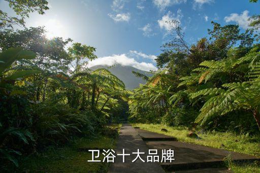 新泰和衛(wèi)浴質(zhì)量怎么樣,國際十大品牌浴缸排行榜出爐
