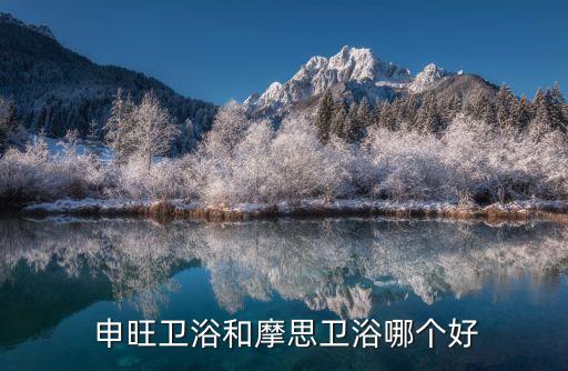 申旺衛(wèi)浴廠家,中國衛(wèi)浴風(fēng)云榜:申旺衛(wèi)浴入選十大衛(wèi)浴品牌