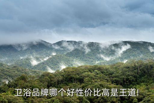 衛(wèi)浴品牌哪個好性價比高是王道!