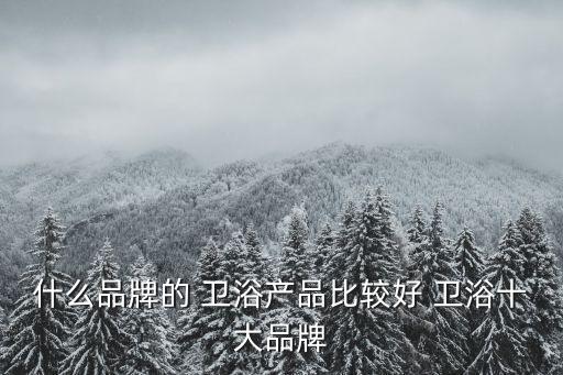 什么品牌的 衛(wèi)浴產(chǎn)品比較好 衛(wèi)浴十大品牌
