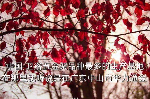 中國 衛(wèi)浴五金架品種最多的生產(chǎn)基地在那里我聽說是在廣東中山市華力通金...