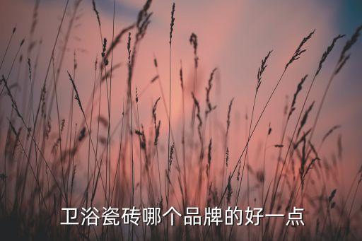 磁磚衛(wèi)浴,衛(wèi)生間瓷磚挑選注意事項別亂來