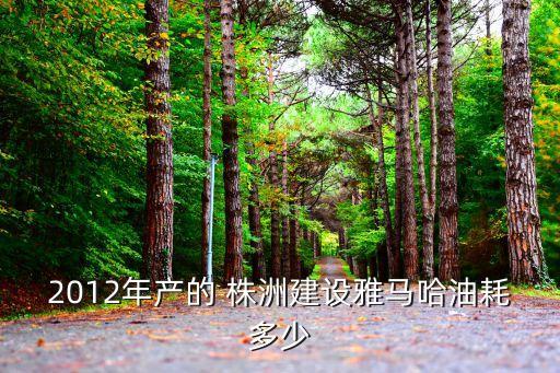 2012年產(chǎn)的 株洲建設(shè)雅馬哈油耗多少