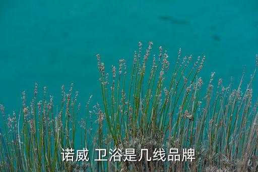 最新品牌衛(wèi)浴招商加盟,九皋衛(wèi)浴加盟優(yōu)勢(shì)多?