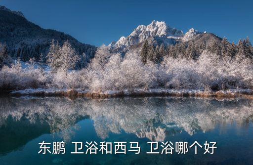 蘭州東鵬衛(wèi)浴,我覺得東鵬衛(wèi)浴比較好!