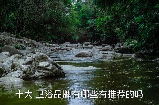 什么牌子的衛(wèi)浴最好,我國(guó)衛(wèi)浴品牌排名出爐日豐衛(wèi)浴位列前茅