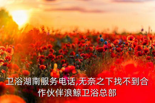 浪鯨衛(wèi)浴湖南服務(wù)電話(huà),無(wú)奈之下找不到合作伙伴浪鯨衛(wèi)浴總部