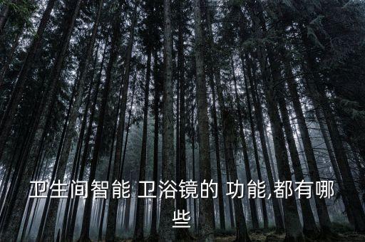 有哪些新功能衛(wèi)浴,整體衛(wèi)浴符合家庭需求年輕人居多