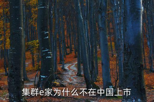 集群e家為什么不在中國上市