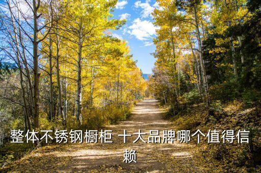 整體不銹鋼櫥柜 十大品牌哪個值得信賴