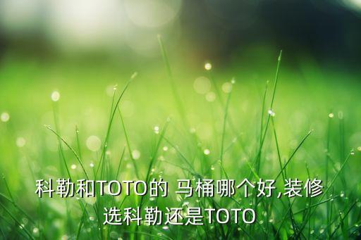 科勒和TOTO的 馬桶哪個(gè)好,裝修選科勒還是TOTO