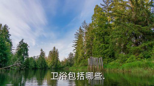 衛(wèi)浴 無衛(wèi)浴,衛(wèi)生潔具、水龍頭、坐便器等總成衛(wèi)生用品名稱