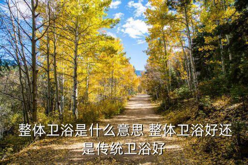 整體衛(wèi)浴間好嗎,整體衛(wèi)生間什么意思?