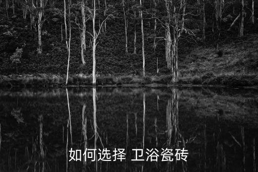 如何選擇 衛(wèi)浴瓷磚