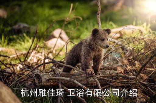 衛(wèi)浴 杭州,杭州雅佳琦潔具廠生產(chǎn)佳雅奇淋浴房銷往全國各地