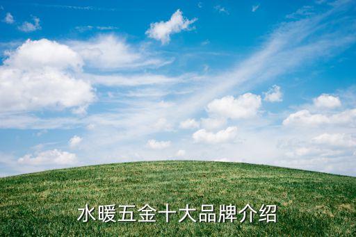 法恩莎衛(wèi)浴配件,法恩莎衛(wèi)浴享有良好聲譽產品暢銷國內外近百家