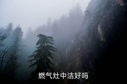 廣東中潔網十大衛(wèi)浴,國內衛(wèi)浴品牌雖多但魚龍混雜還是比較安全