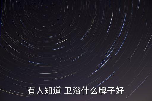 有人知道 衛(wèi)浴什么牌子好