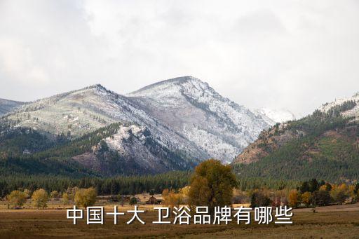 中國十大 衛(wèi)浴品牌有哪些