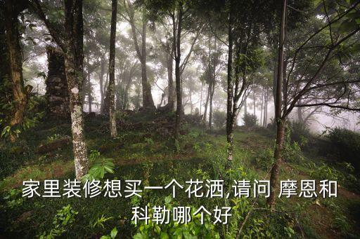家里裝修想買一個花灑,請問 摩恩和 科勒哪個好