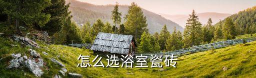 怎么選浴室瓷磚