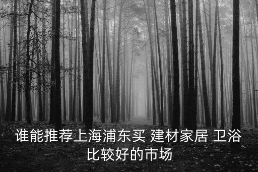 誰能推薦上海浦東買 建材家居 衛(wèi)浴比較好的市場(chǎng)