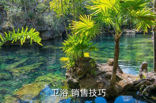  衛(wèi)浴 銷售技巧