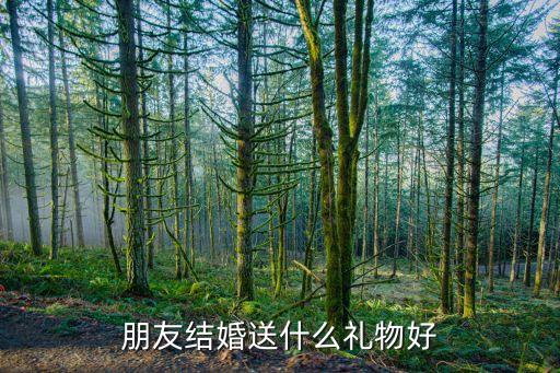 夢潔衛(wèi)浴,結(jié)婚送什么禮物?答案在這里!