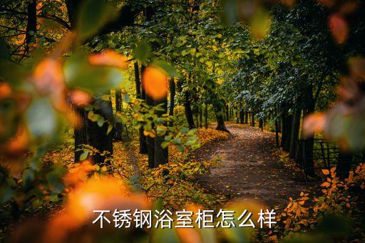  不銹鋼浴室柜怎么樣