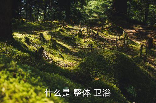 什么是 整體 衛(wèi)浴