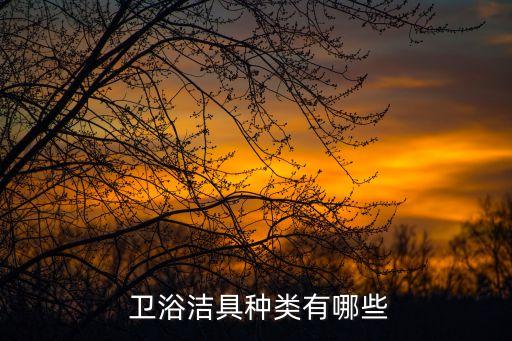 鉆石衛(wèi)浴潔具產(chǎn)品資料,衛(wèi)生潔具產(chǎn)品趨勢(shì)多樣化滿足不同需求
