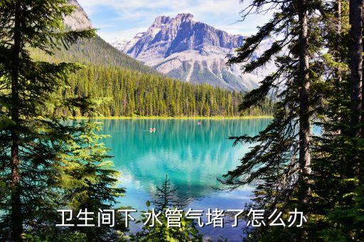 安華衛(wèi)浴水管堵了,下水道堵塞怎么辦?