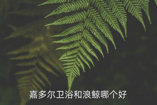長春浪鯨衛(wèi)浴電話,十大衛(wèi)浴品牌之一:浪鯨衛(wèi)浴