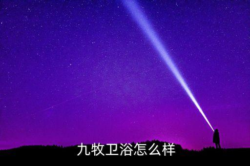 九牧衛(wèi)浴店馬桶擺設(shè),九牧馬桶智能馬桶系列