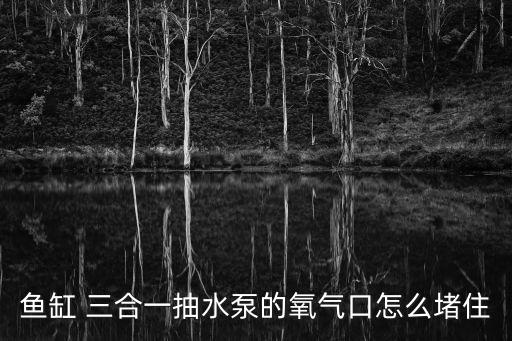 魚缸 三合一抽水泵的氧氣口怎么堵住