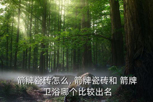  箭牌瓷磚怎么, 箭牌瓷磚和 箭牌 衛(wèi)浴哪個(gè)比較出名