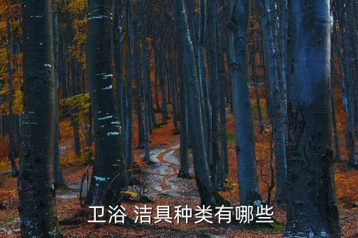  衛(wèi)浴 潔具種類有哪些