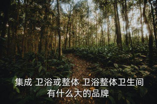 集成式衛(wèi)浴,整體衛(wèi)浴裝修可優(yōu)先考慮配套產(chǎn)品方便維護(hù)
